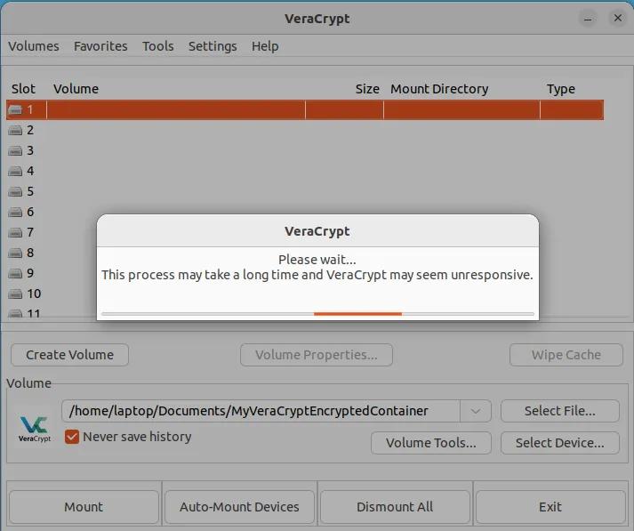  veracrypt mounting volume please wait