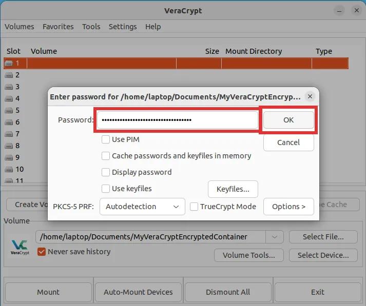 veracrypt mounting volume step 3